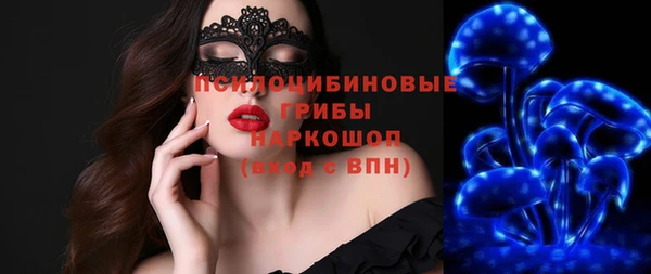 марки lsd Гусиноозёрск