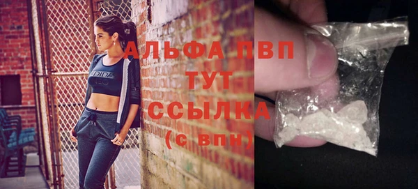 крисы Гусев