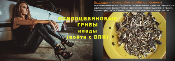 марки lsd Гусиноозёрск