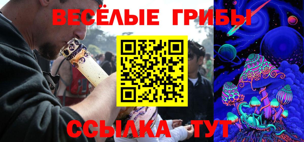 Ульяновск  Галлюциногенные грибы Magic Shrooms  Вход с VPN  Псилоцибиновые грибы Psilocybine cubensis 