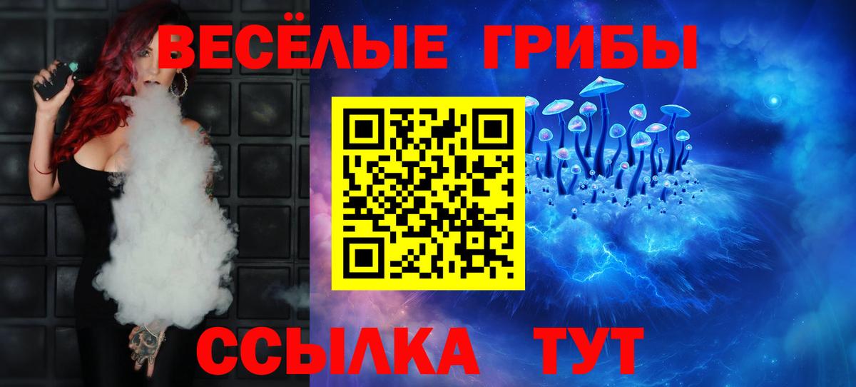 Псилоцибиновые грибы Psilocybe Ульяновск